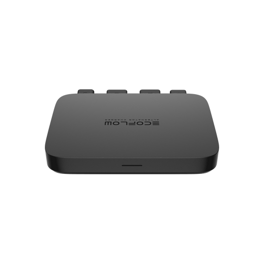 EcoFlow 800W Alternator Charger+ EcoFlow DELTA 2 Alternator Charger + DELTA 2