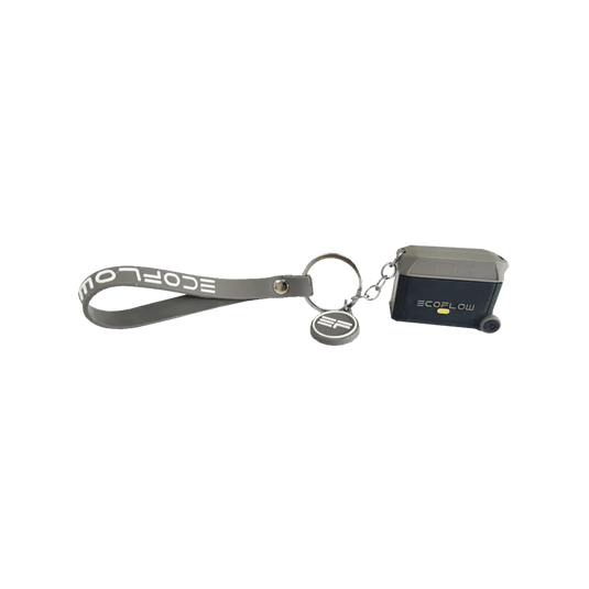 EcoFlow Keychain - DELTA Pro