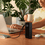Load image into Gallery viewer, EcoFlow RAPID Power Bank (25,000mAh, 170W, 100W Built-In and Retractable Cables)