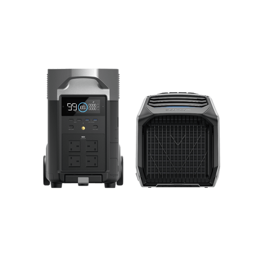 EcoFlow WAVE 2 + DELTA Pro