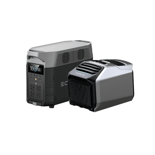 EcoFlow WAVE 2 + DELTA Pro