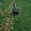 Load image into Gallery viewer, EcoFlow BLADE Robotic Lawn Mower