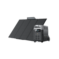Load image into Gallery viewer, EcoFlow DELTA Pro + 400W Portable Solar Panel 1