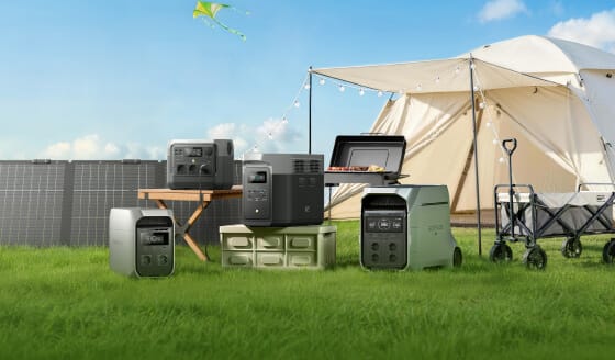 EcoFlow WAVE 2 + EcoFlow DELTA Pro - EcoFlow UK