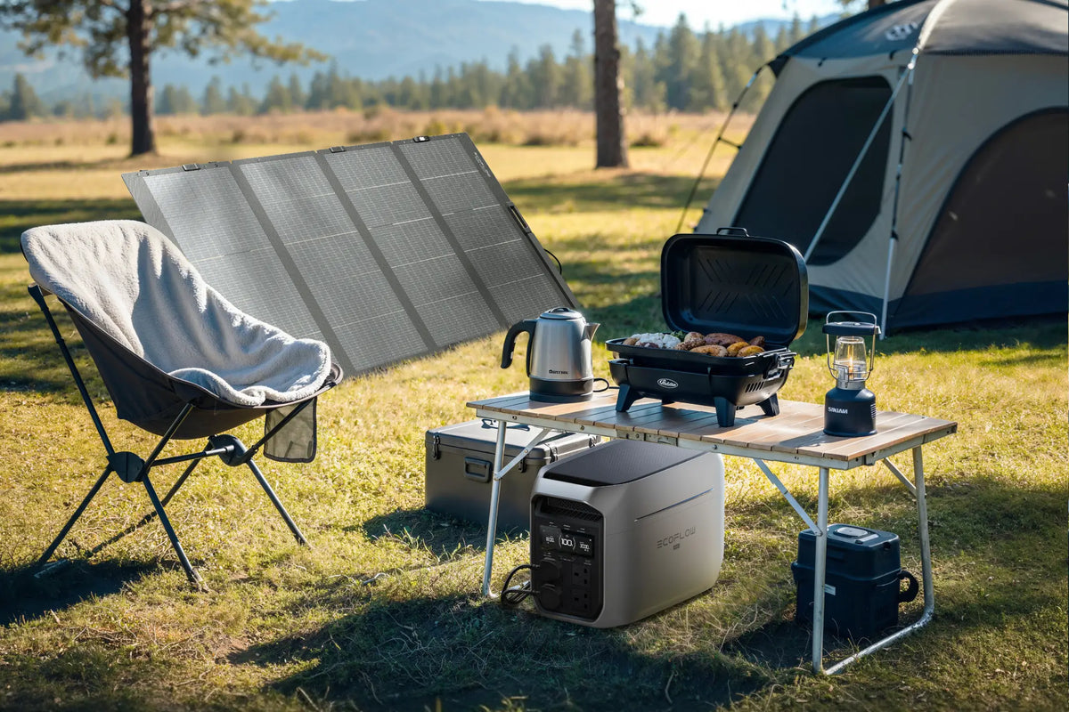DELTA 3 Max Plus + 400W Portable Solar Panel