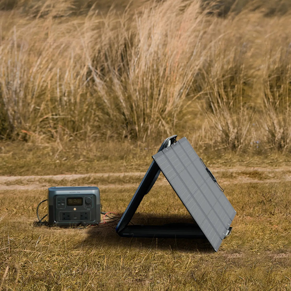 RIVER 2 Max + 160W Portable Solar Panels
