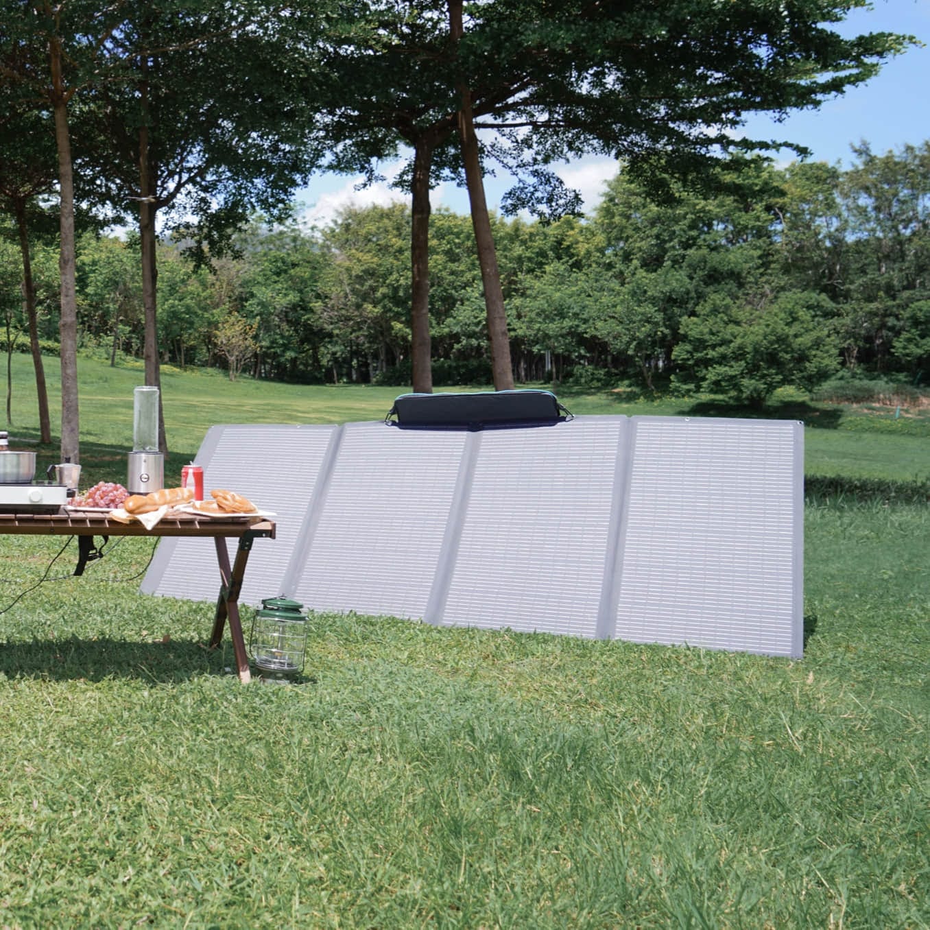 EcoFlow 400W Portable Solar Panel （Refurbished）