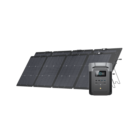 EcoFlow DELTA 2 Solar Generator (PV220W) 2*220W + DELTA 2
