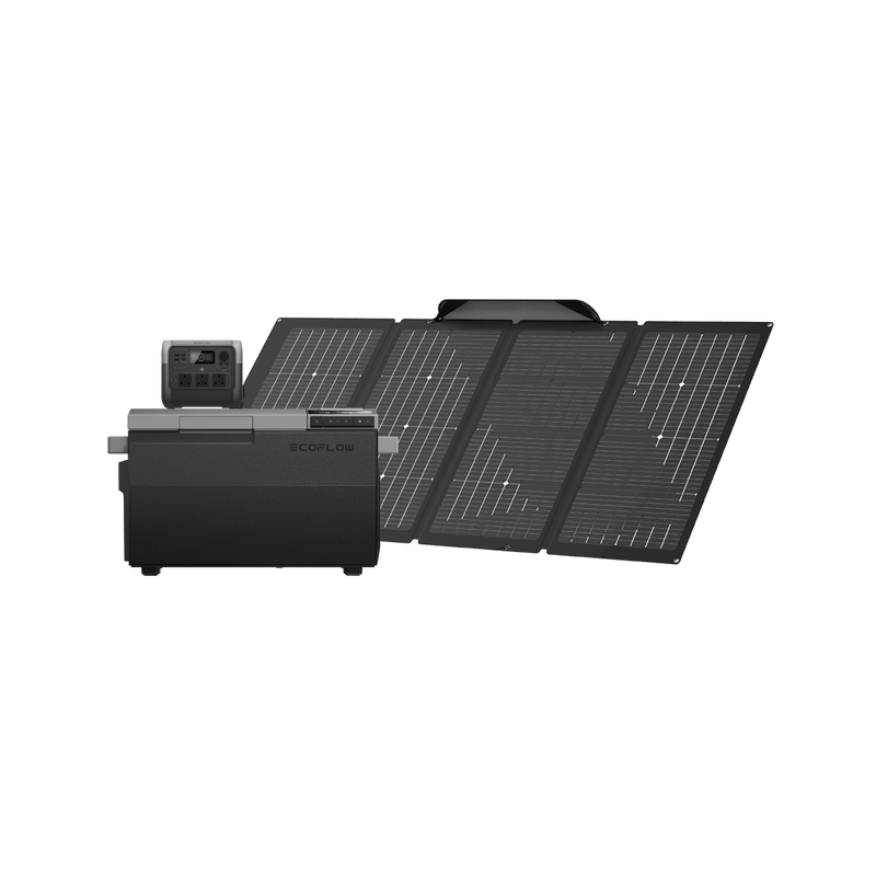 Load image into Gallery viewer, EcoFlow GLACIER + RIVER 2 Pro + 220W Biaficial Solar Panel GLACIER + RIVER 2 Pro + 220w
