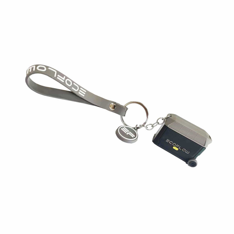 Load image into Gallery viewer, EcoFlow Keychain - DELTA Pro
