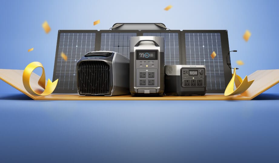 EcoFlow Smart Auto Battery Charger